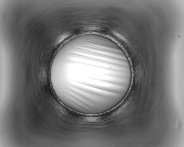 X0000086911305200704301029