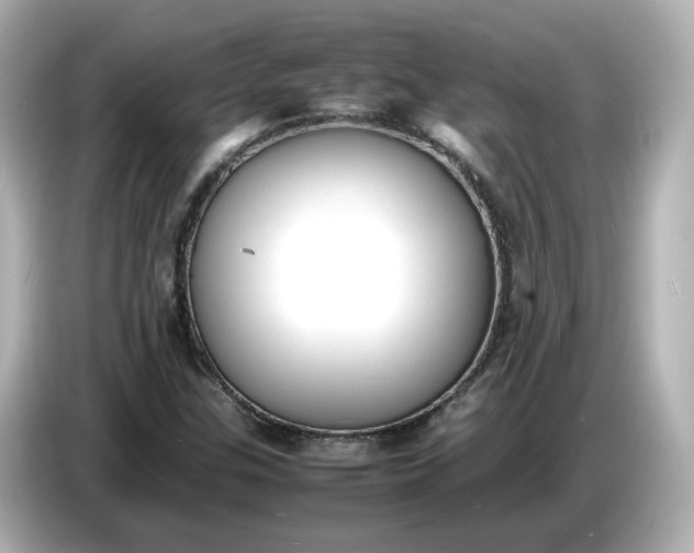 X0000086911307200704301029