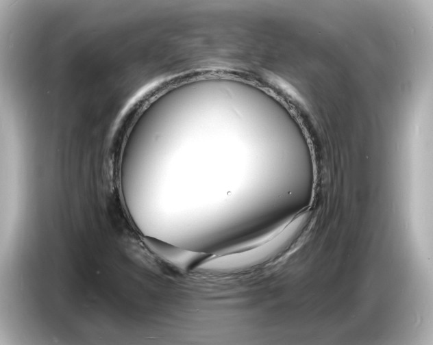 X0000086911310200704301029