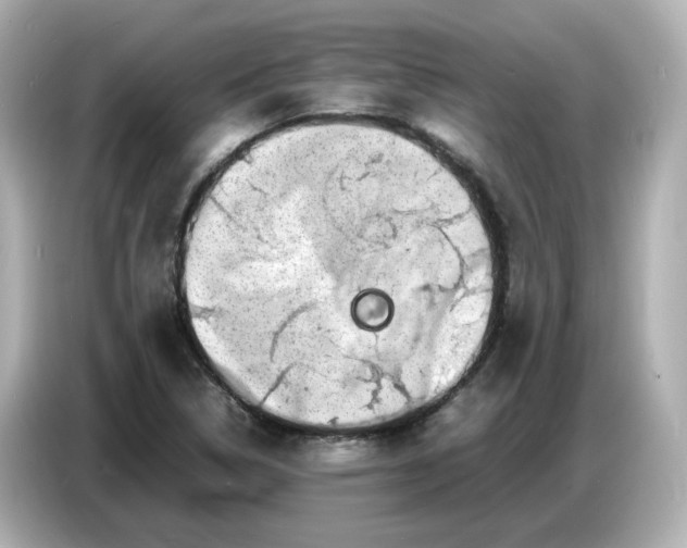 X0000086911314200704301029