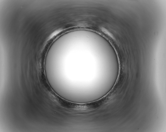 X0000086911315200704301029