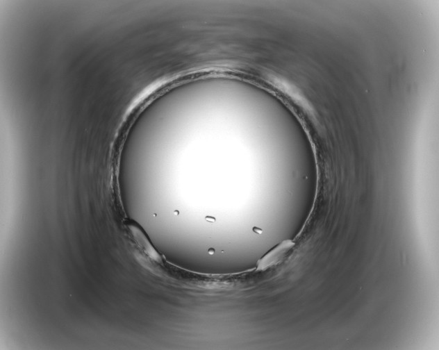 X0000086911316200704301029