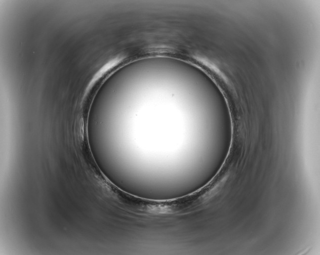 X0000086911317200704301029