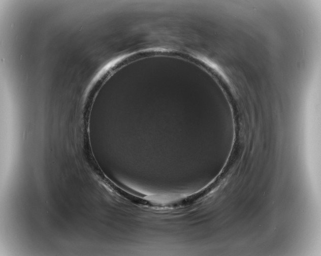 X0000086911319200704301029