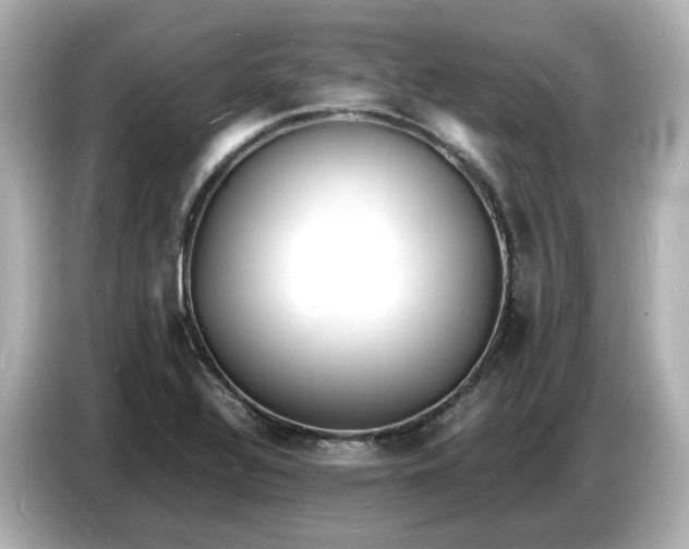 X0000086911320200704301029