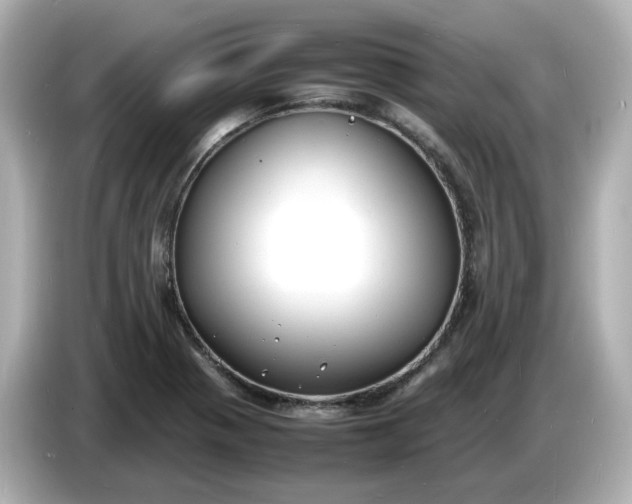 X0000086911321200704301029