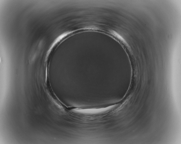 X0000086911323200704301029