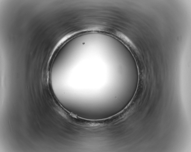 X0000086911324200704301029