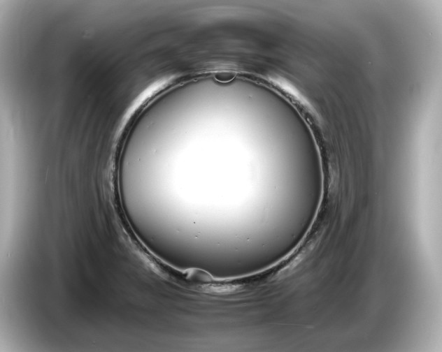 X0000086911325200704301029