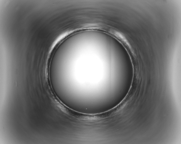 X0000086911328200704301029