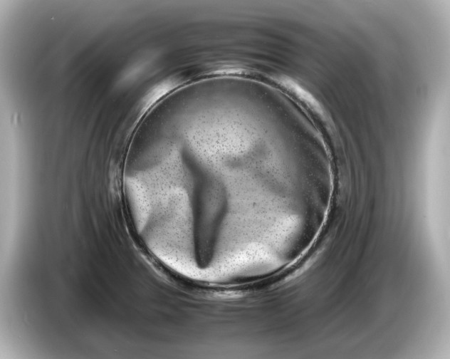 X0000086911329200704301029