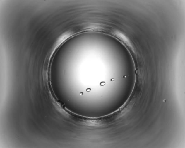 X0000086911330200704301029