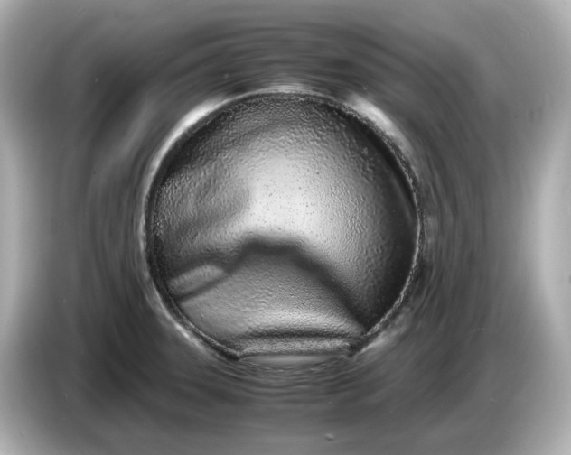 X0000086911331200704301029