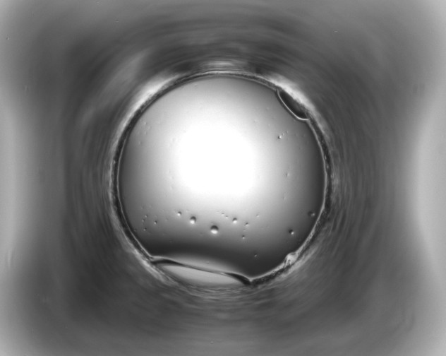 X0000086911333200704301029