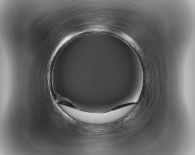 X0000086911334200704301029