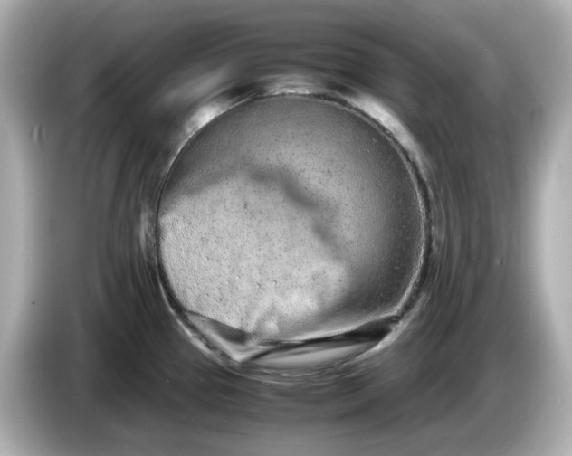 X0000086911337200704301029