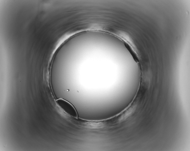 X0000086911340200704301029