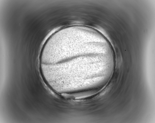 X0000086911341200704301029