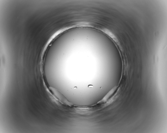 X0000086911342200704301029