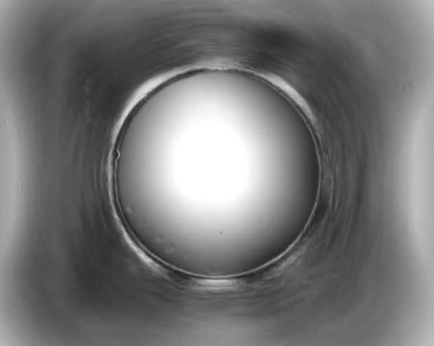 X0000086911343200704301029