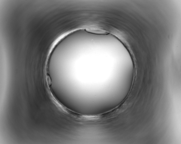 X0000086911344200704301029