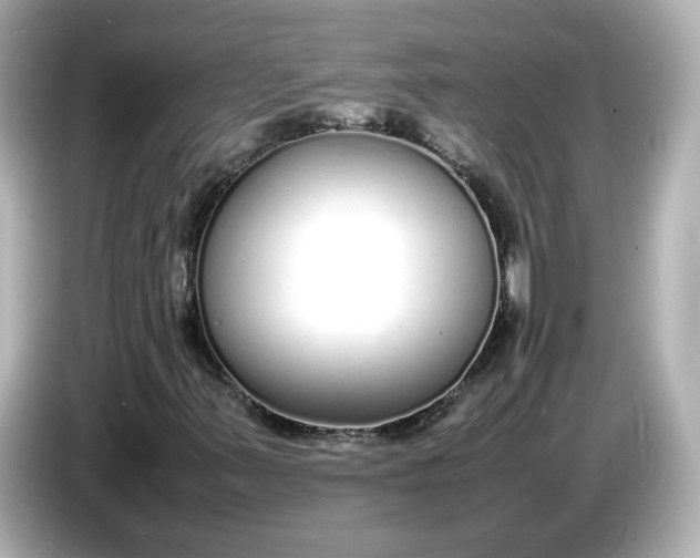 X0000086911347200704301029