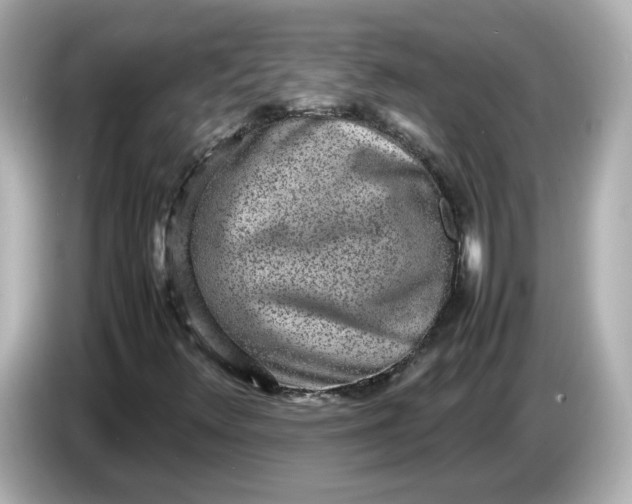 X0000086911348200704301029