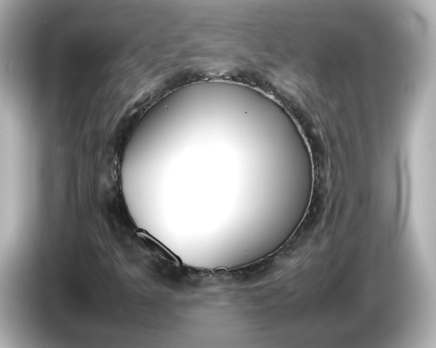 X0000086911349200704301029