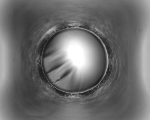 X0000086911351200704301029