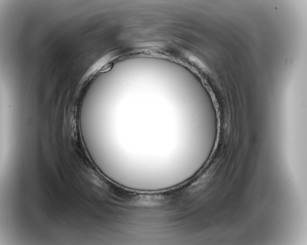 X0000086911354200704301029