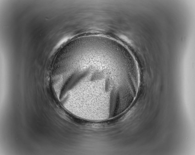 X0000086911355200704301029