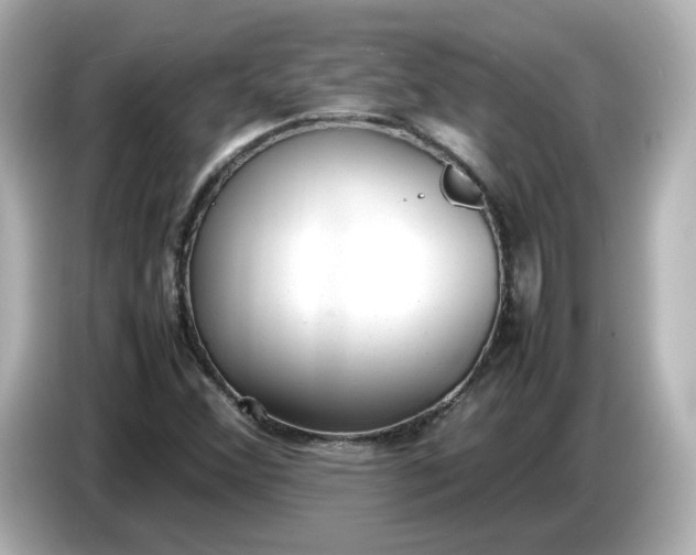 X0000086911356200704301029