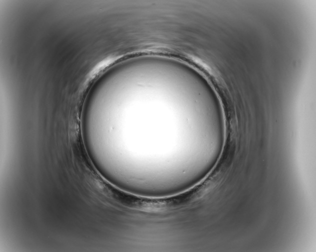 X0000086911363200704301028