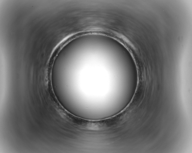 X0000086911364200704301028