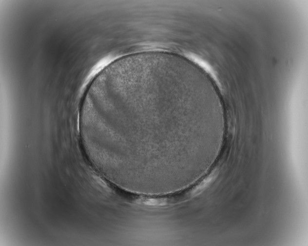 X0000086911365200704301028