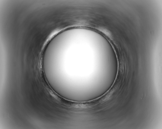 X0000086911366200704301028