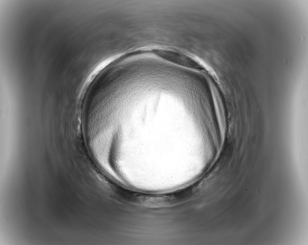 X0000086911367200704301028