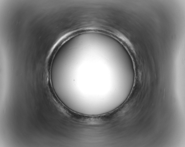 X0000086911368200704301028