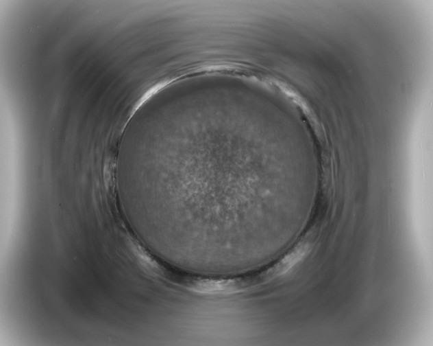 X0000086911369200704301028