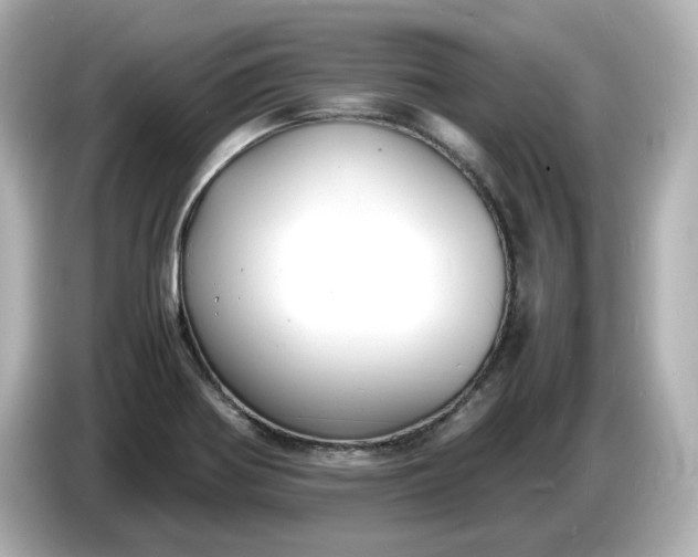 X0000086911370200704301028