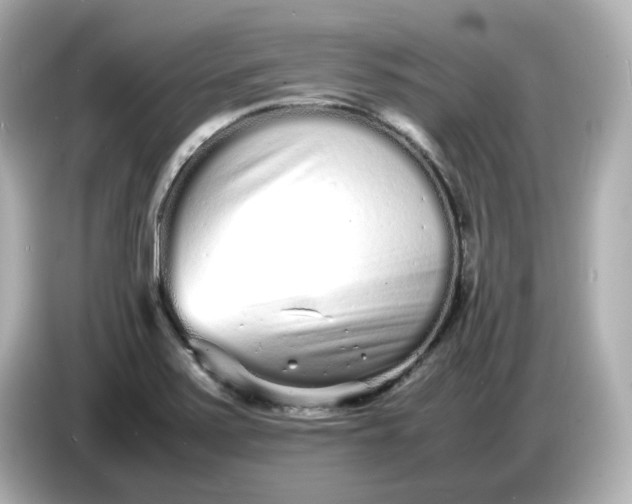 X0000086911371200704301028