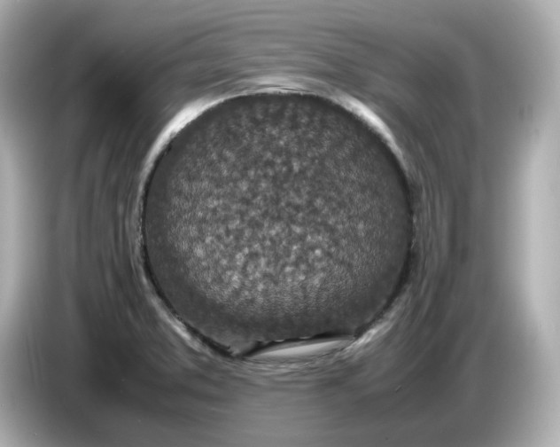 X0000086911373200704301028