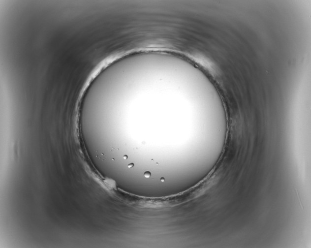 X0000086911374200704301028