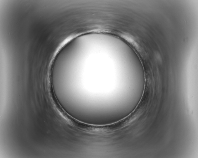 X0000086911375200704301028