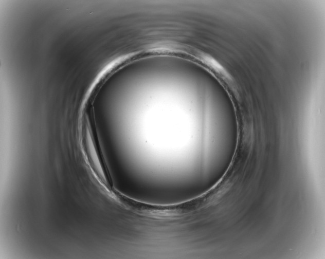 X0000086911376200704301028