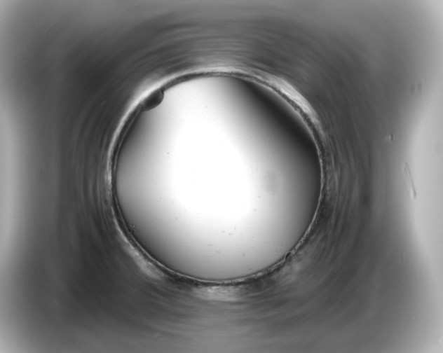 X0000086911380200704301028