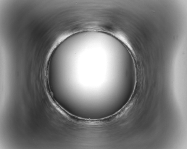 X0000086911381200704301028