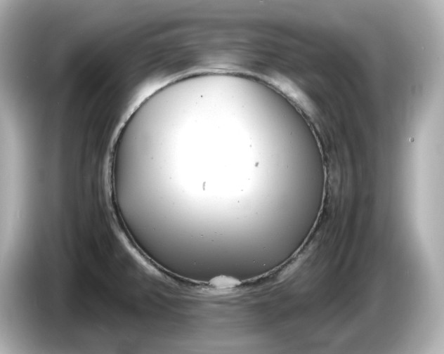 X0000086911382200704301028