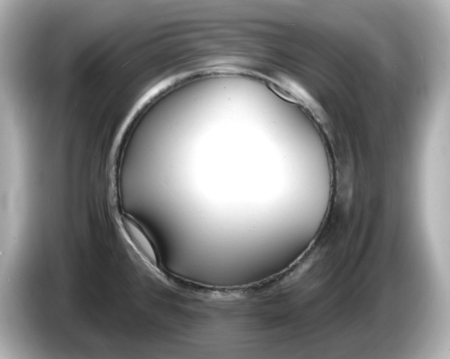 X0000086911384200704301028