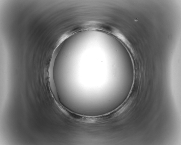 X0000086911385200704301028